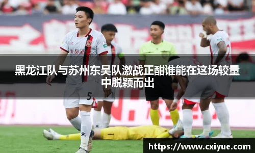 黑龙江队与苏州东吴队激战正酣谁能在这场较量中脱颖而出